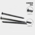 Hot Selling Common Iron Nail China Common Nails